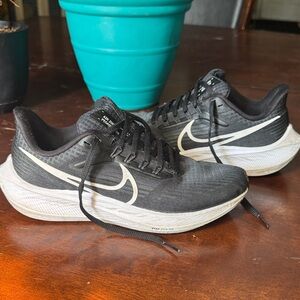 Nike Air Zoom Pegasus 39